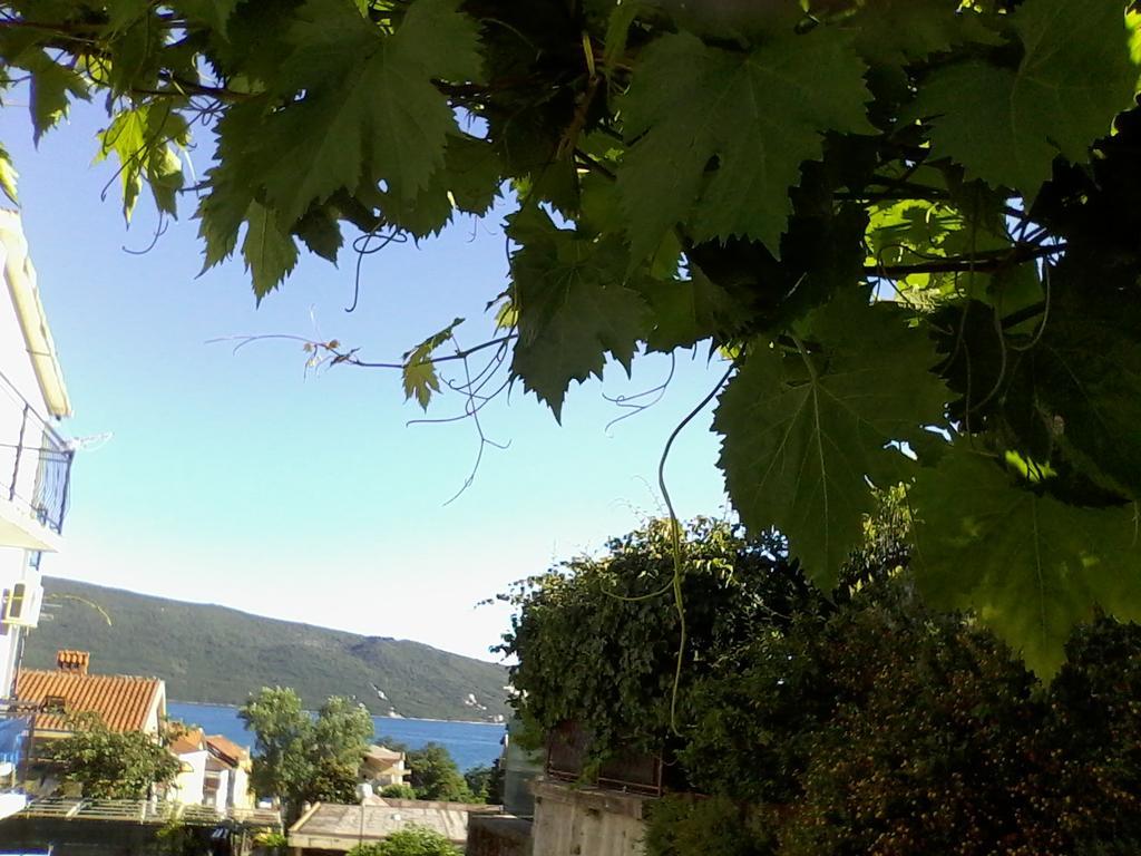 Nicholas Apartment Herceg Novi Kültér fotó